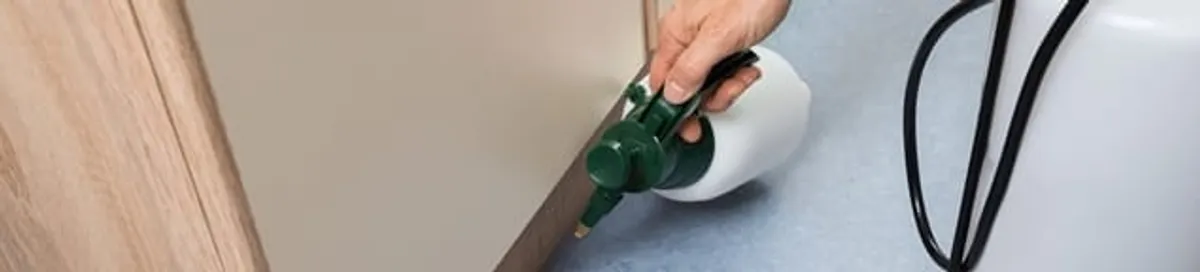 Bed bug exterminator treating baseboards and cracks with targeted spray in San Francisco, CA