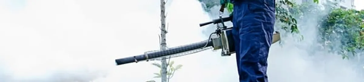 Pest control technician fogging an outdoor area for insect control in San Francisco, CA