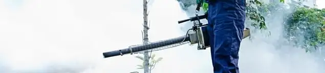 Pest control technician fogging an outdoor area for insect control in San Francisco, CA