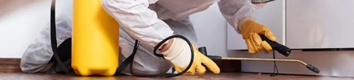 Roach exterminator treating cracks and crevices along kitchen baseboards in San Francisco, CA