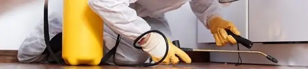 Roach exterminator treating cracks and crevices along kitchen baseboards in San Francisco, CA