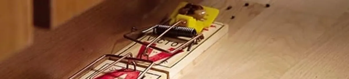 Rodent trap set indoors for rodent control and prevention in San Francisco, CA