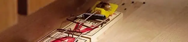 Rodent trap set indoors for rodent control and prevention in San Francisco, CA