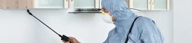 Termite treatment technician applying indoor pest control spray in San Francisco, CA